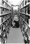 never ending bookshelves, photo